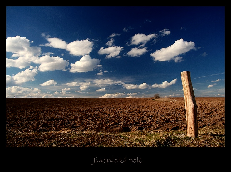 214034_2b8c2.jpg
