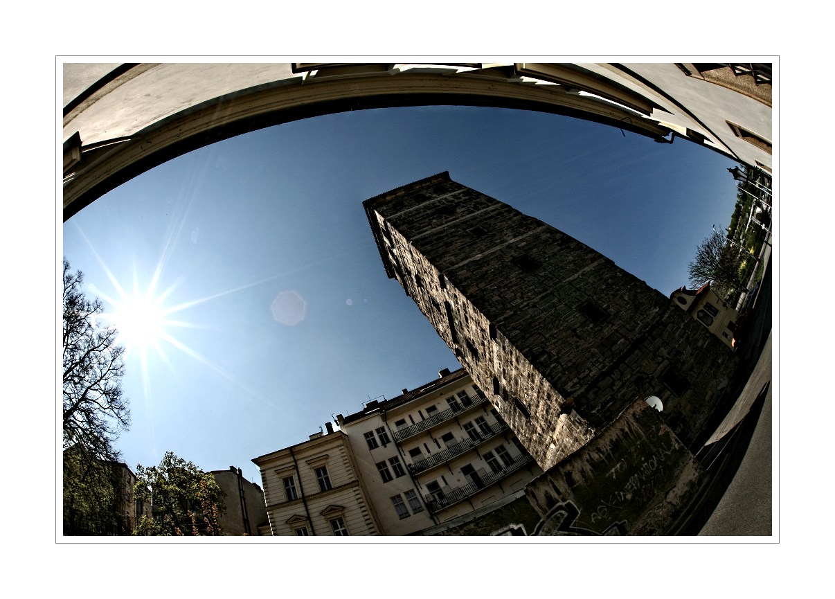 IMG_4578web.jpg