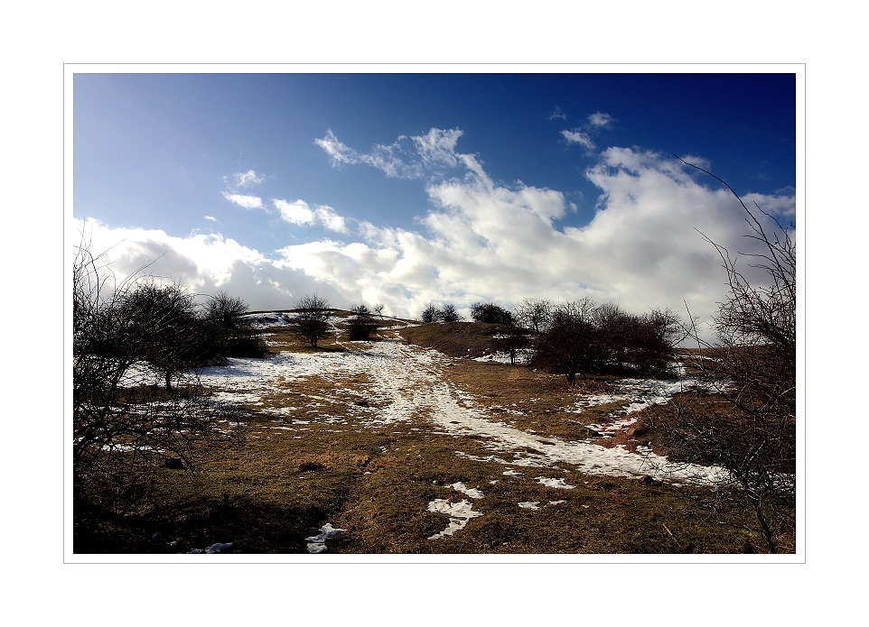 IMG_8030web.jpg