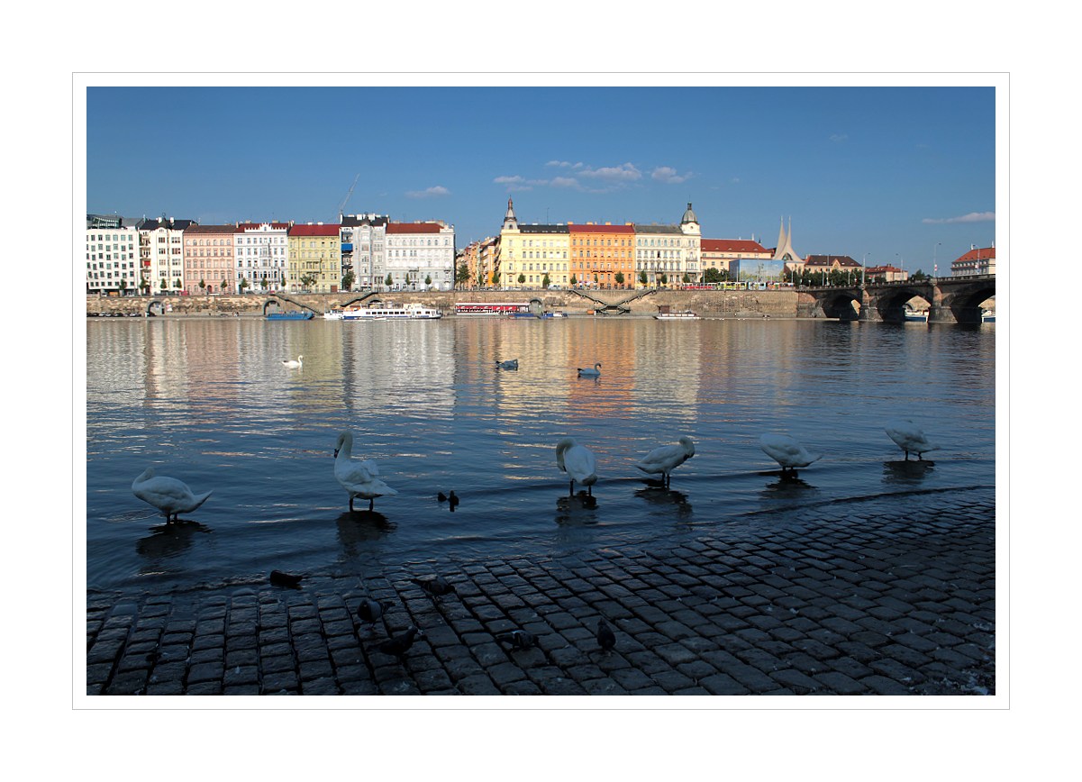 img_0047web