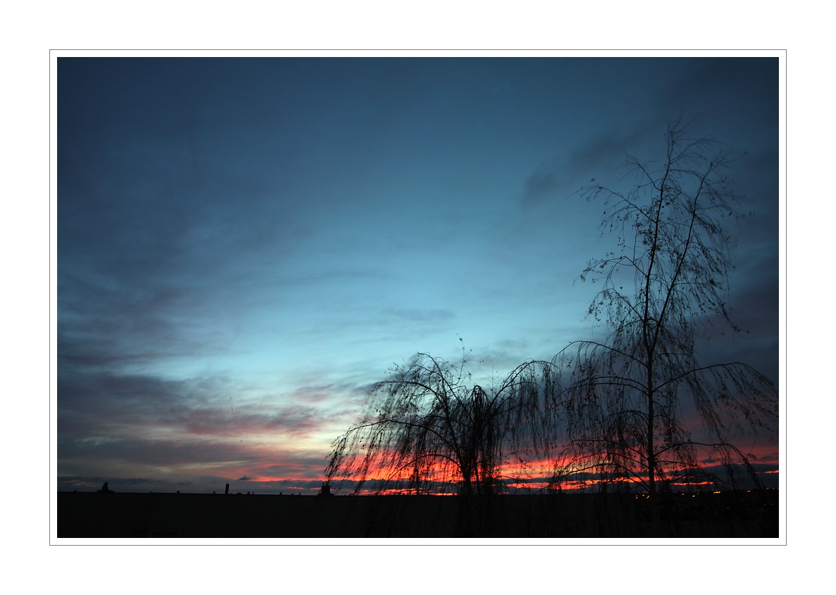 svitani_11_2010__2