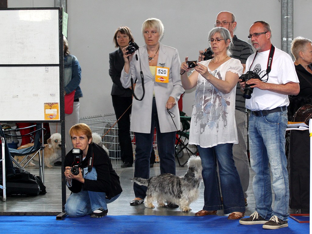 IMG_6389_web