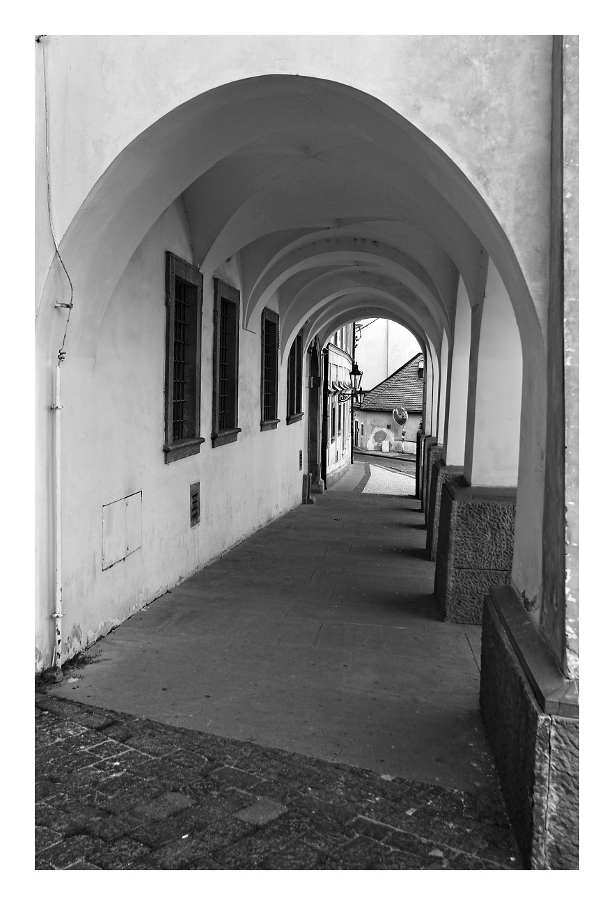 Podloub9_IMG_7948web