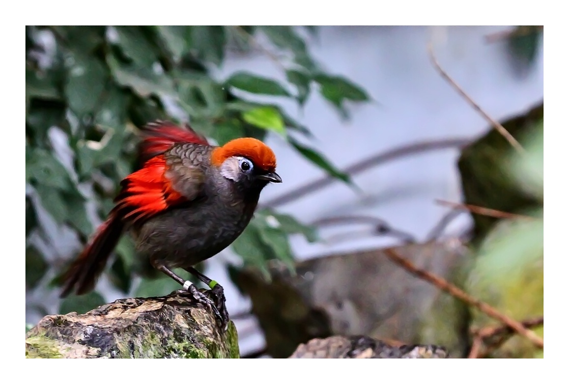 ZOO_IMG_8219web_2