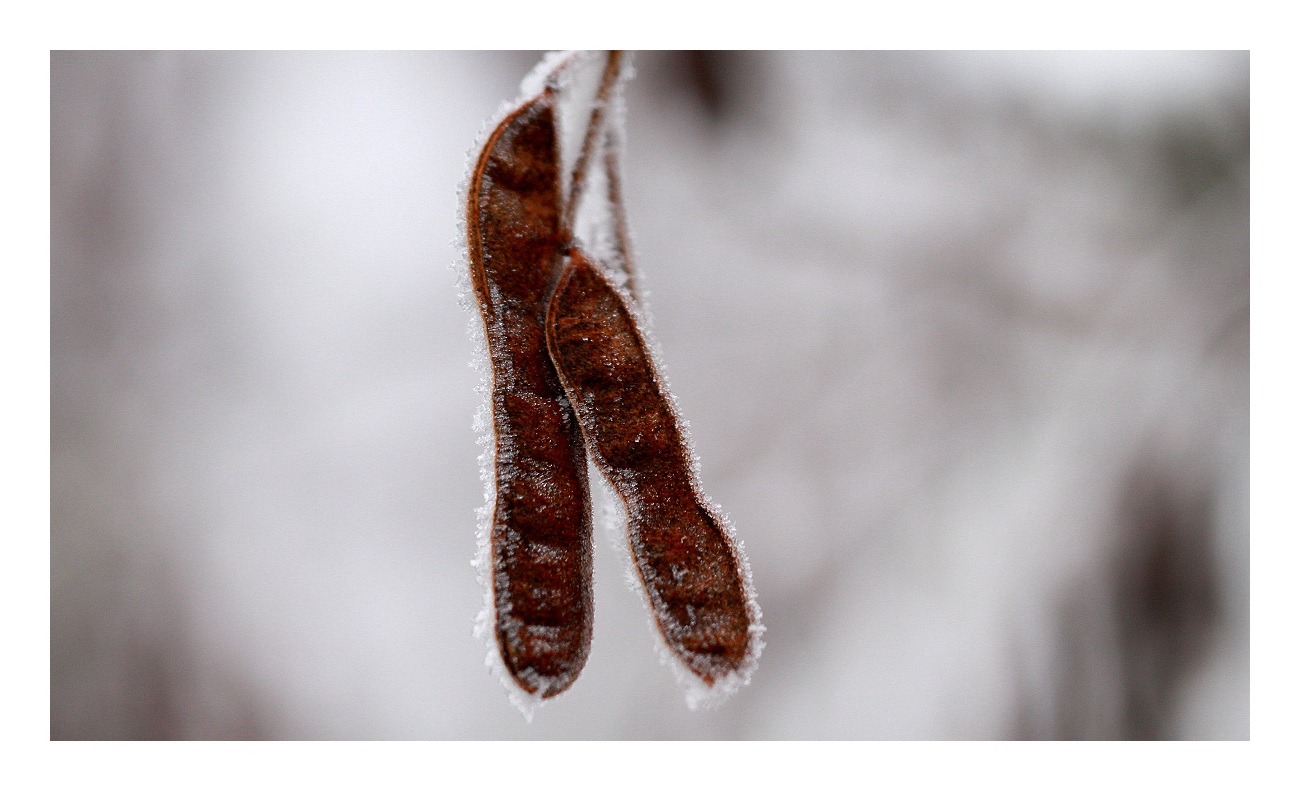 IMG_1964web