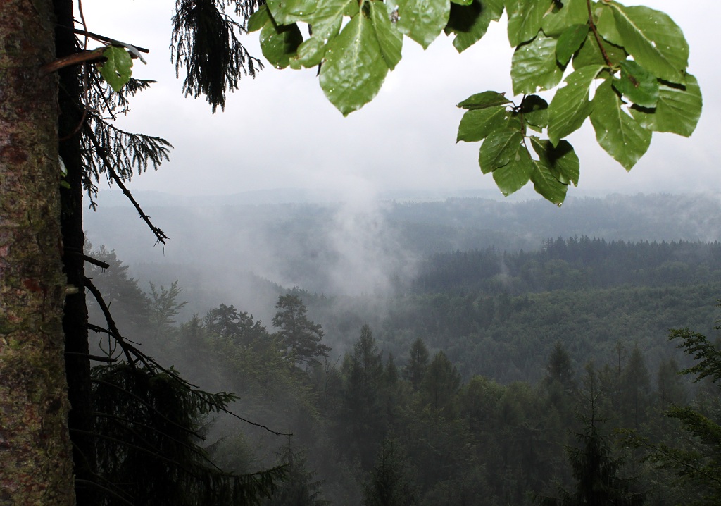 04_KOKO_IMG_7143web