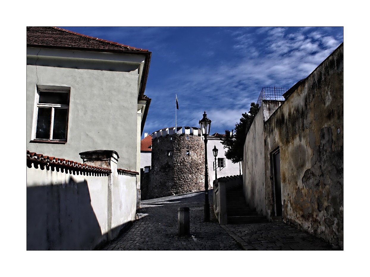 IMG_8011_web