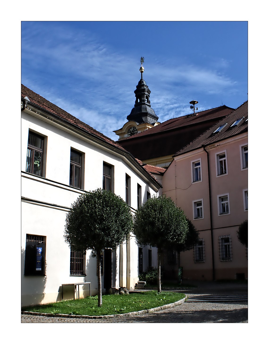 IMG_8087web