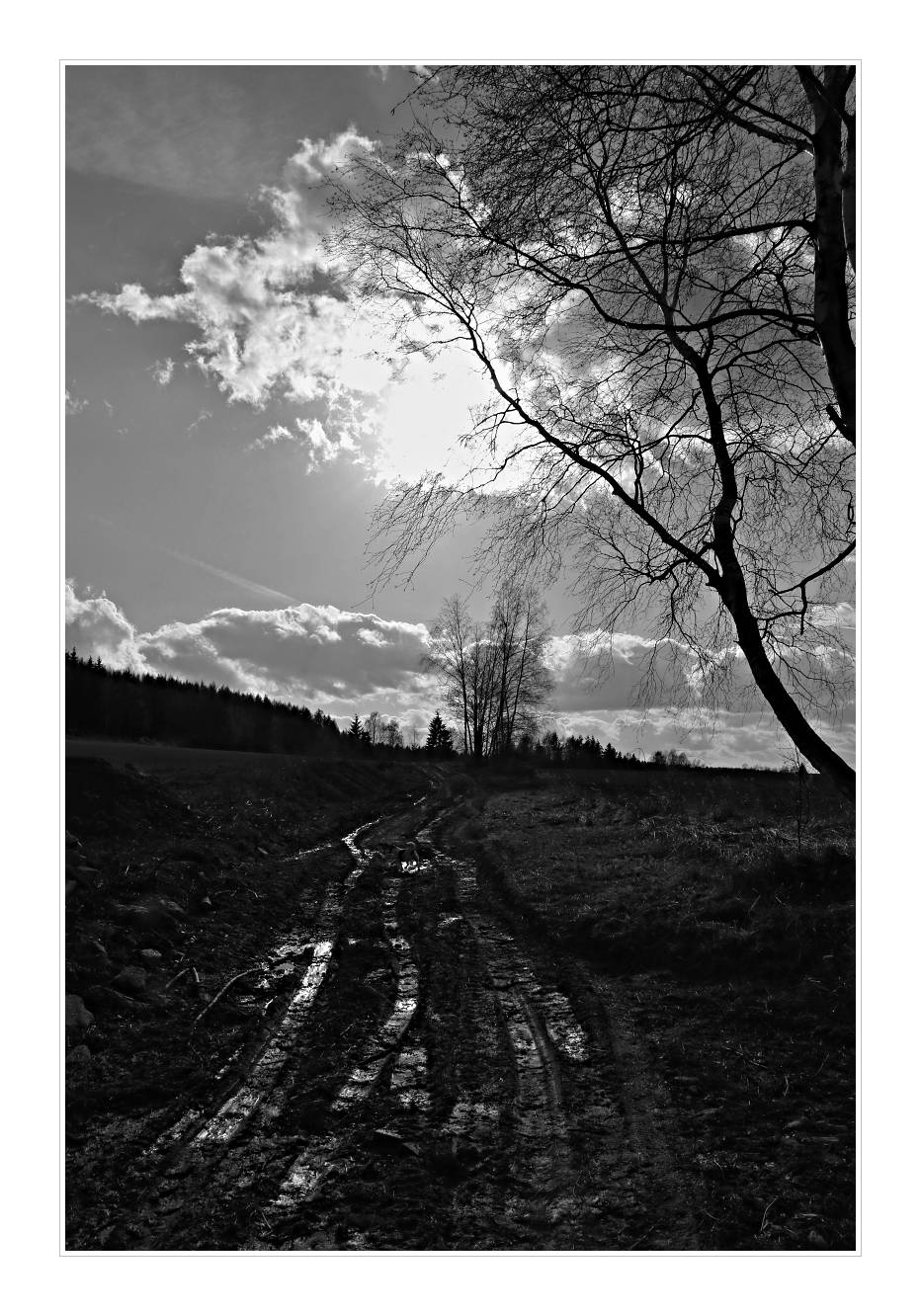 IMG_0424_web