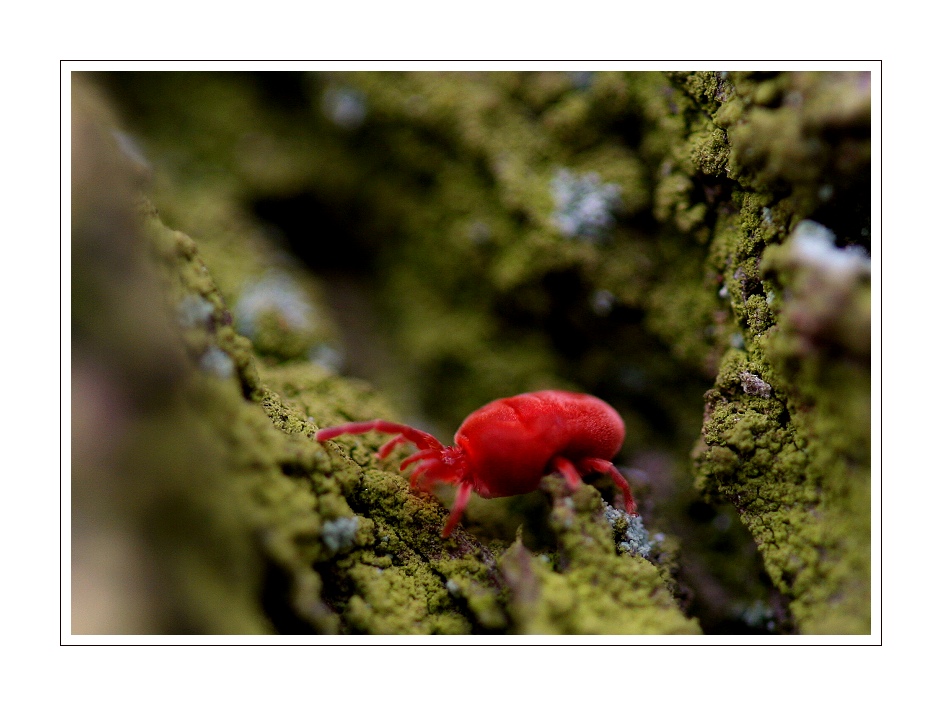 IMG_1480web.jpg