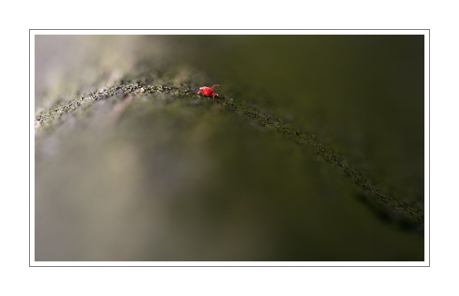 IMG_1482web.jpg