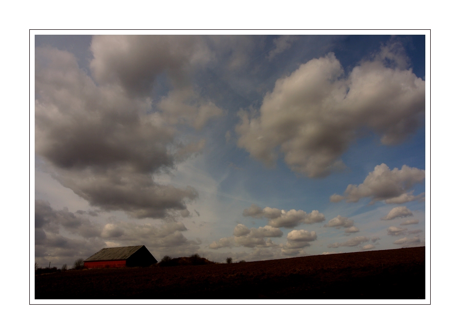 IMG_1535web.jpg