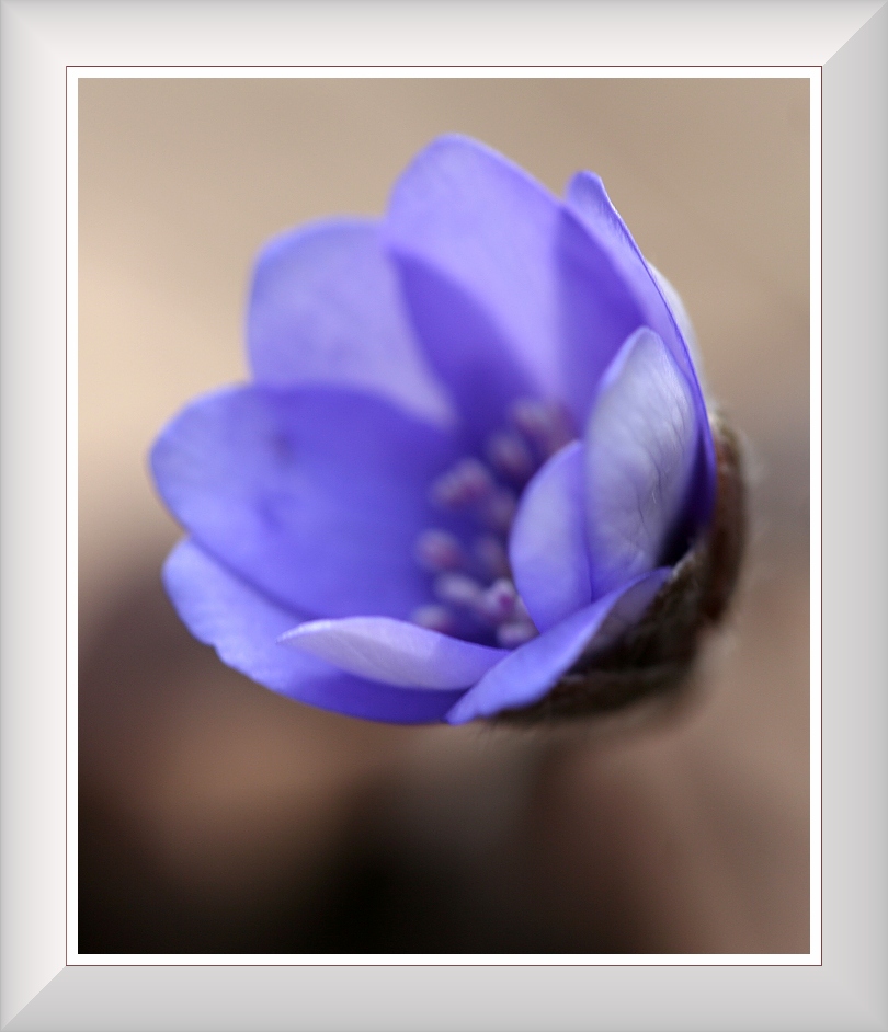 IMG_1563web.jpg