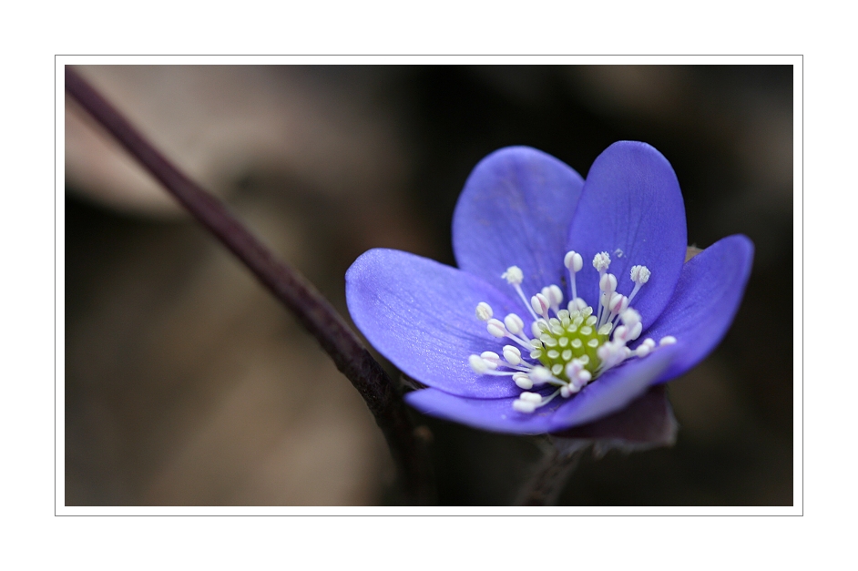IMG_1566web.jpg