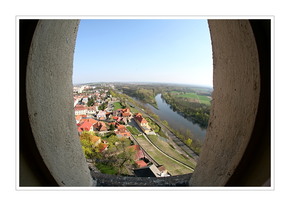 IMG_4501web.jpg