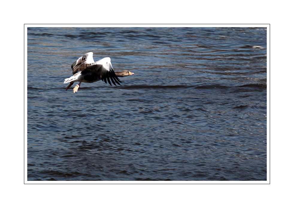 IMG_7096web.jpg