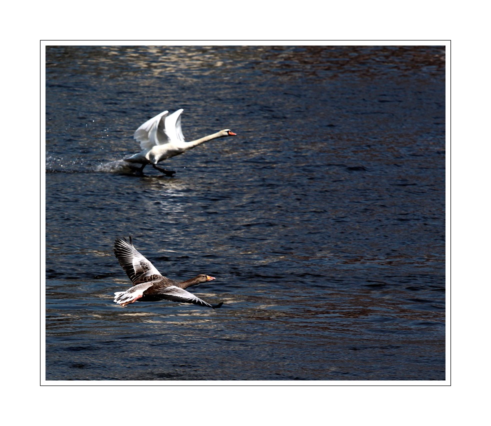 IMG_7099web.jpg