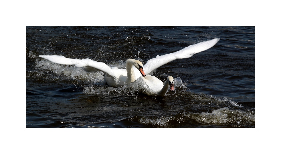 IMG_7143web.jpg