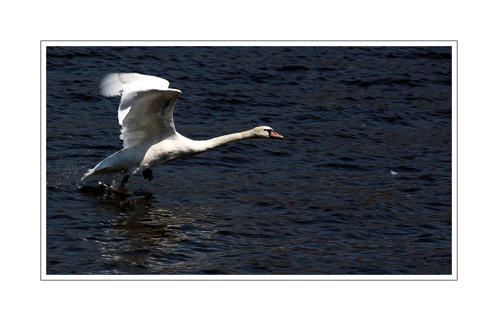 IMG_7152web.jpg