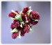 IMG_9212web.jpg