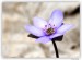 IMG_9411web.jpg
