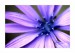 f_aIMG_8870web.jpg