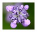 f_aIMG_8902web.jpg