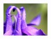 f_aIMG_8973web.jpg
