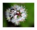 b_aIMG_9063web.jpg