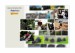 lowepro_cerven_2010
