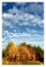 IMG_1566web