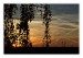 IMG_2304web