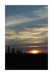 KOKO_IMG_2439web