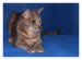 Leden_2011_IMG_3927web