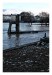 IMG_4144web