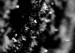 IMG_0035web.jpg