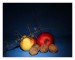 IMG_4026web