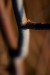 IMG_0049web.jpg