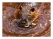 ZOO_IMG_8172web