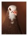 ZOO_IMG_8179web
