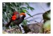 ZOO_IMG_8219web_2