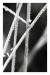 IMG_1950web