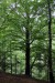26_KOKO_IMG_7320web