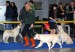 IMG_9458web