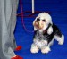 IMG_9792web