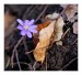 IMG_0790web