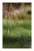 IMG_1280web