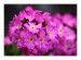 IMG_1300web