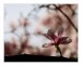 IMG_1327web