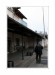 450D01 048web.jpg